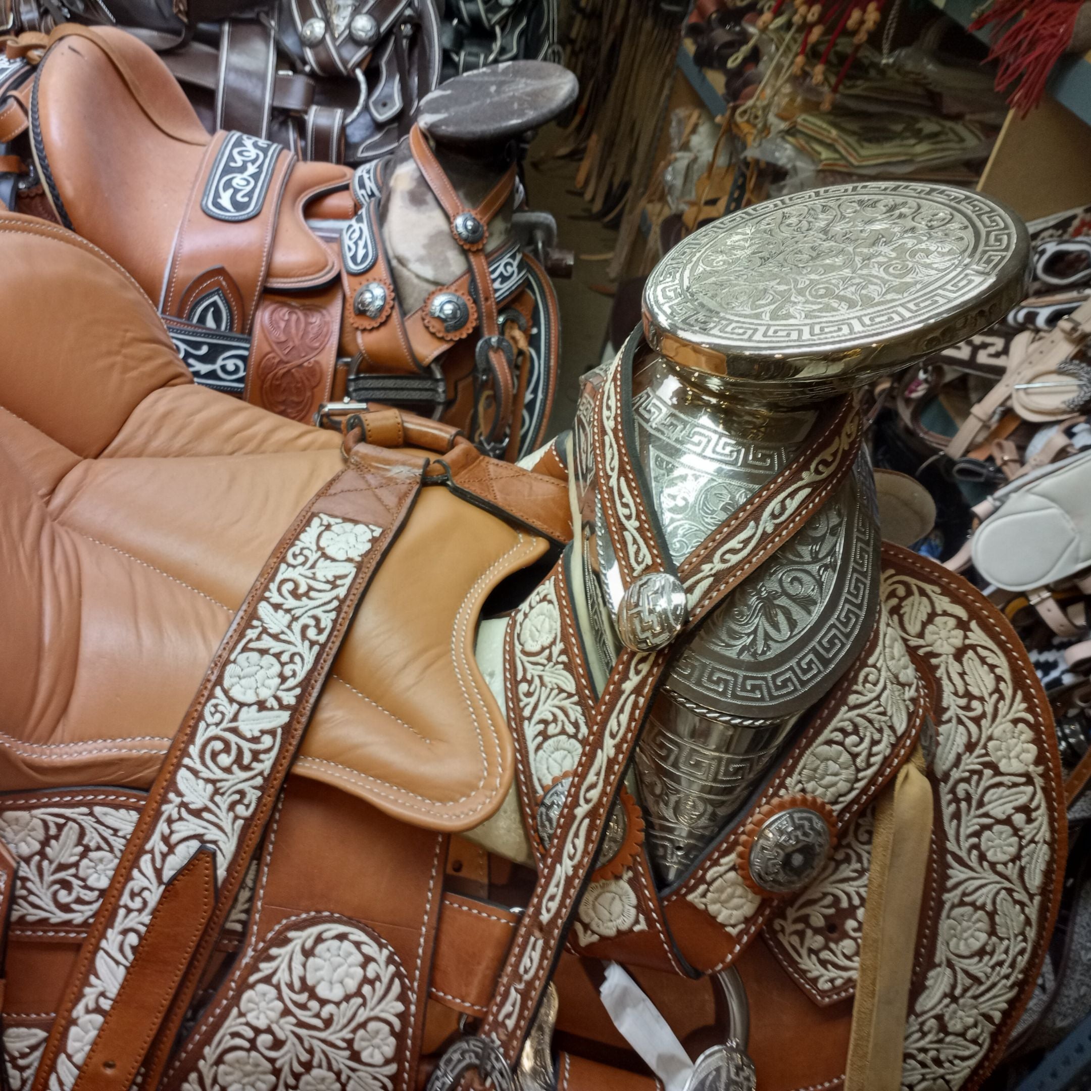 Sillas De Montar Exoticas Singular Outfits sillas-de-montar-exoticas-singular-outfits