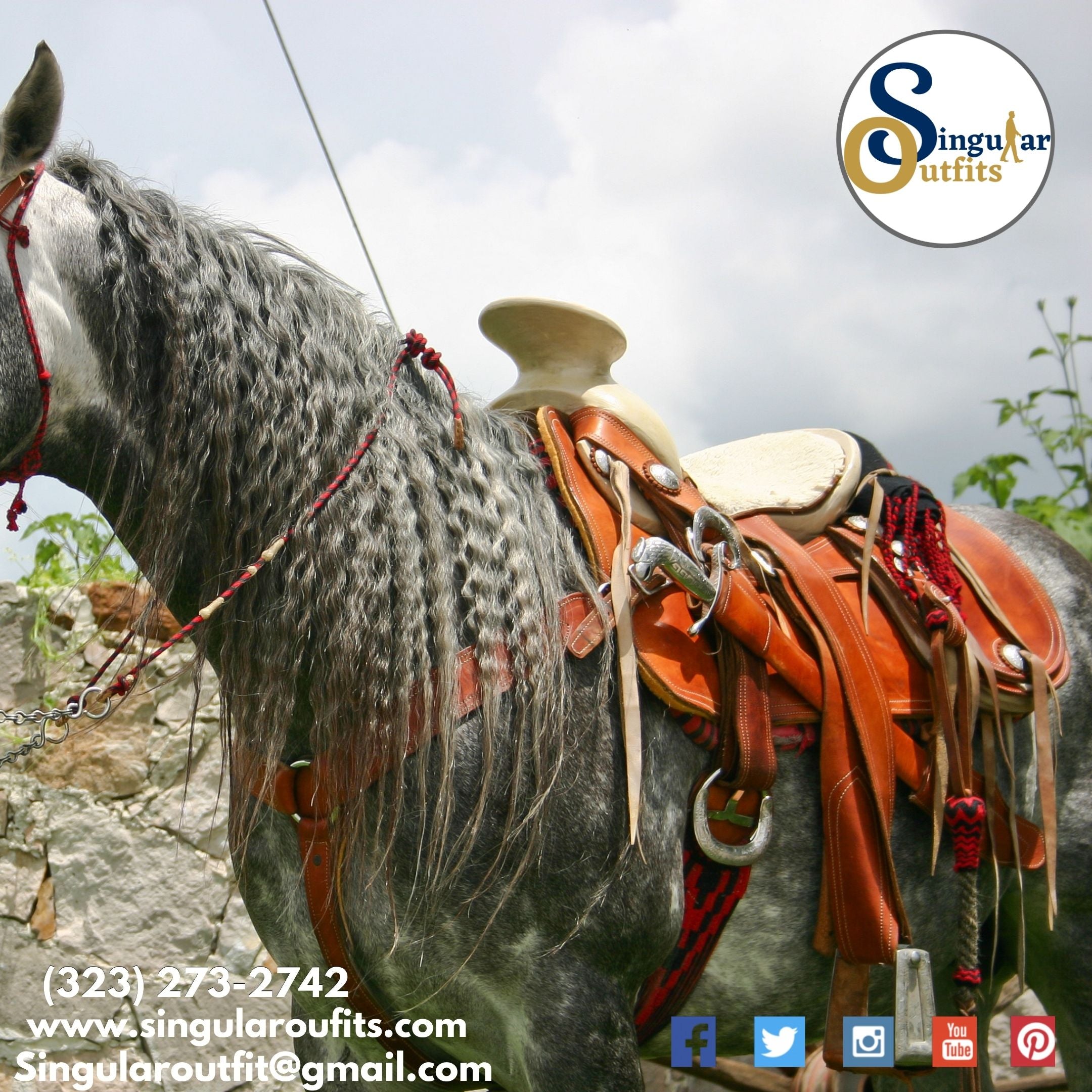 Monturas charras sillas de montar Horse saddles Singular Outfits