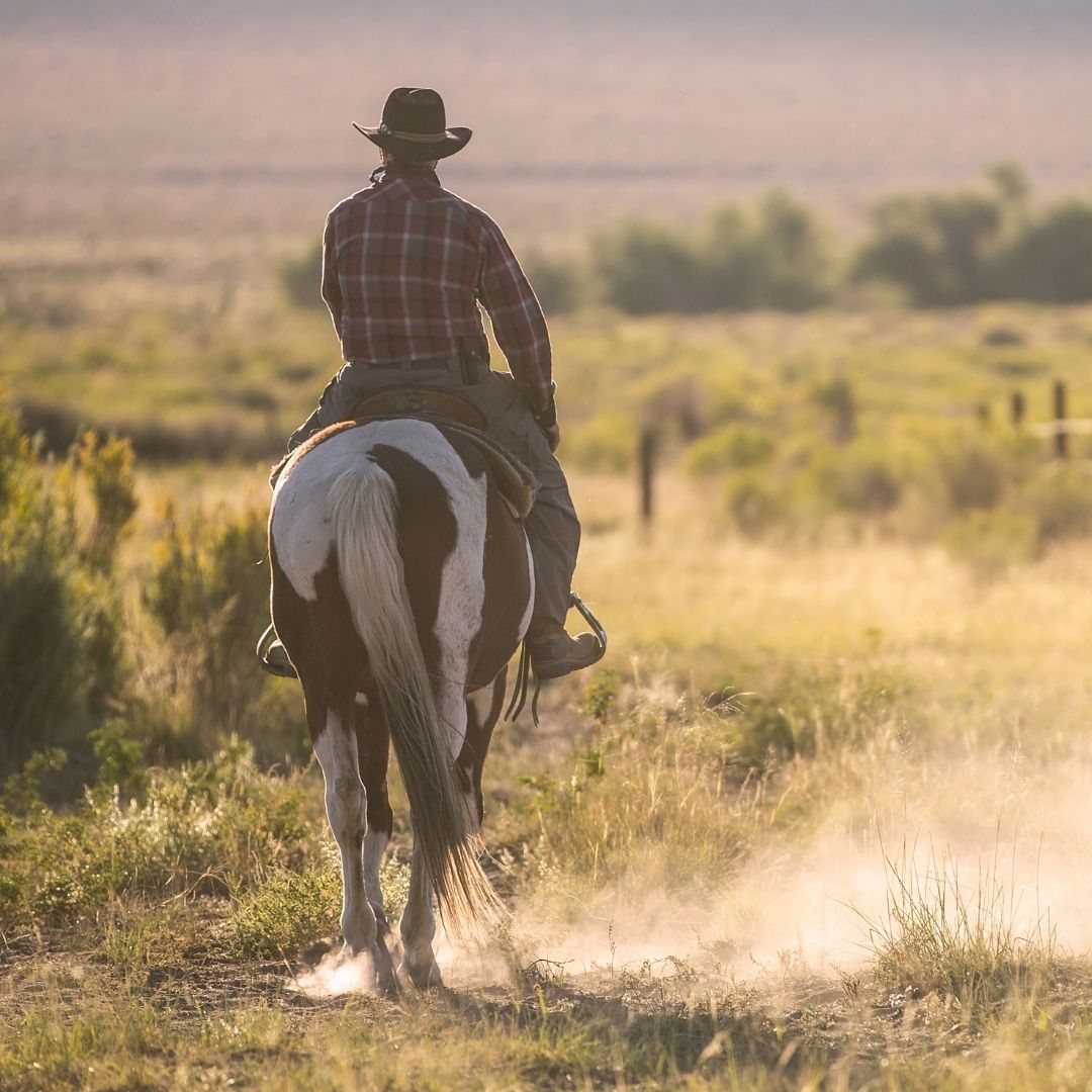 Cowboy Accessories