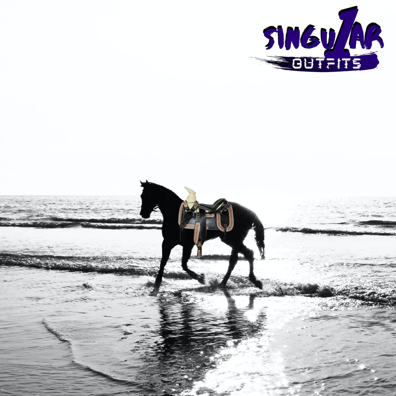 Horse Saddles / Sillas de Montar
