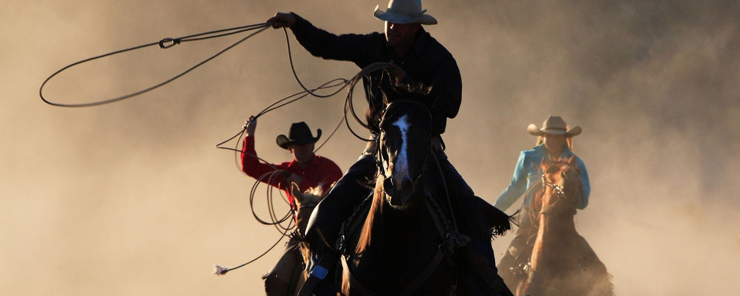 Horseback Riding Accessories